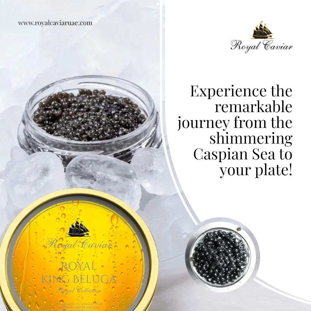 Published work from the Royal Caviar project, 2 of 5.
